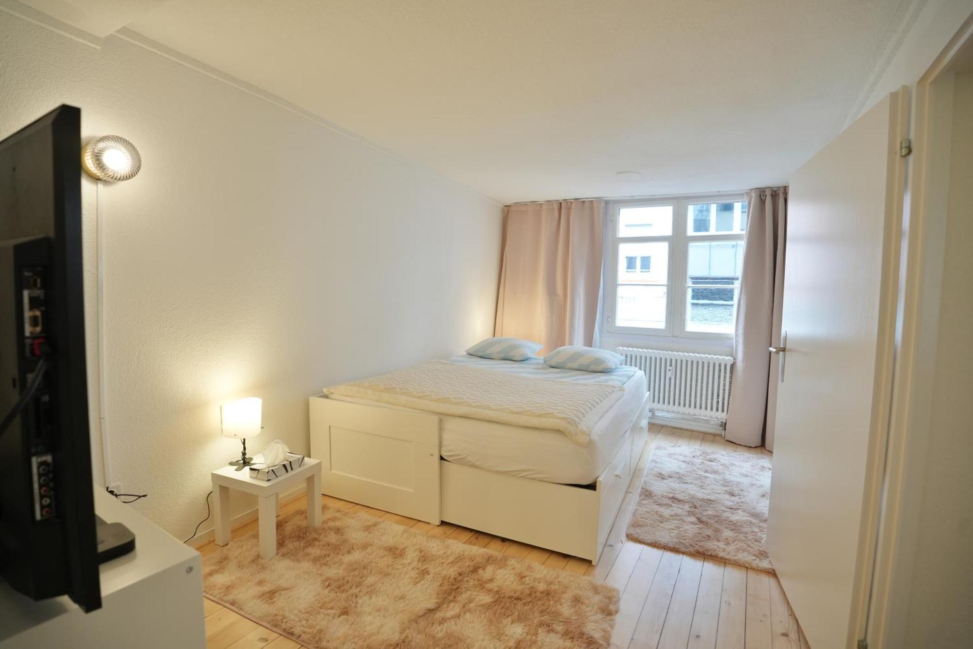 Cozy City Center, 4 Bedroom- 120Sq, 5Min Walk To Main Station Basilea Exterior foto
